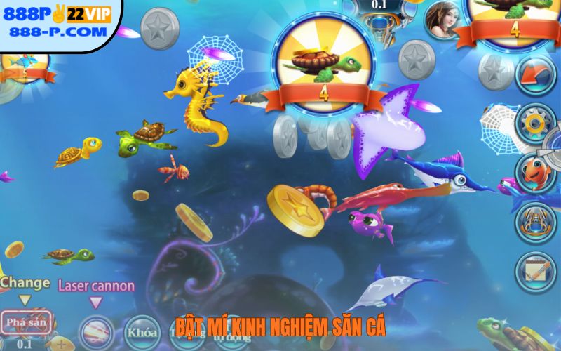 Bật mí kinh nghiệm săn cá