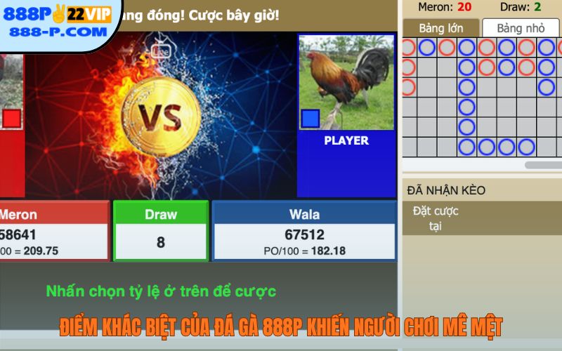 Điểm khác biệt của đá gà 888P khiến người chơi mê mệt