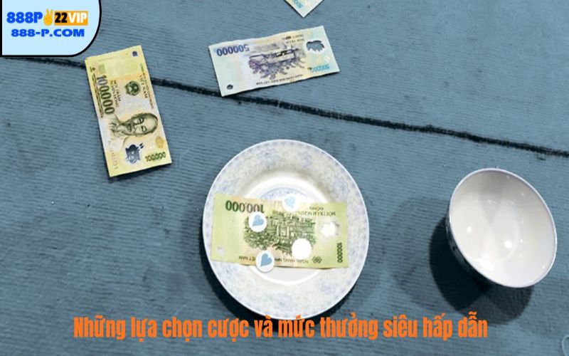 Những lựa chọn cược và mức thưởng siêu hấp dẫn 