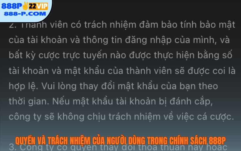 Quyền và trách nhiệm của người dùng trong chính sách 888P
