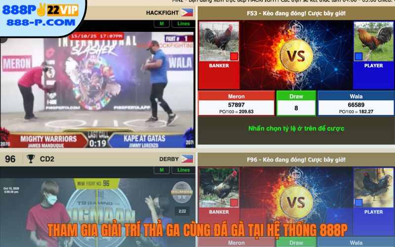 Tham gia giải trí thả ga cùng đá gà tại hệ thống 888P